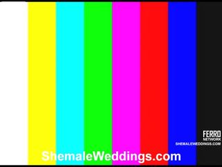भयानक शीमेल weddings चलचित्र साथ अमेज़िंग सेक्स चलचित्र सितारे carol, लोरेना, milena