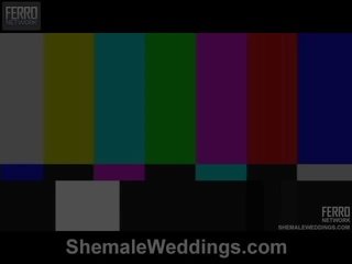 Transvestit weddings me krenari paraqet senna, camile, patricia_bismarck në seks kapëse skenë